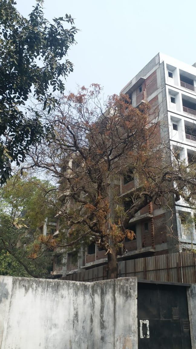 79396_const of real estate project Allied Residency located at City, Ahmedabad, Gujarat