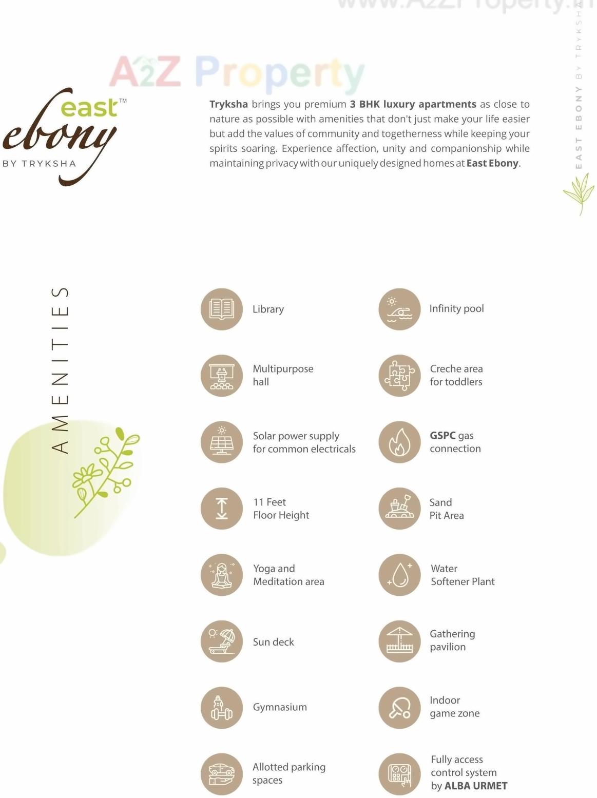 Amenities of East Ebony