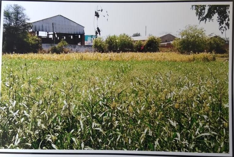 111977_const of real estate project Kabir Estate located at Ahmedabad, Ahmedabad, Gujarat