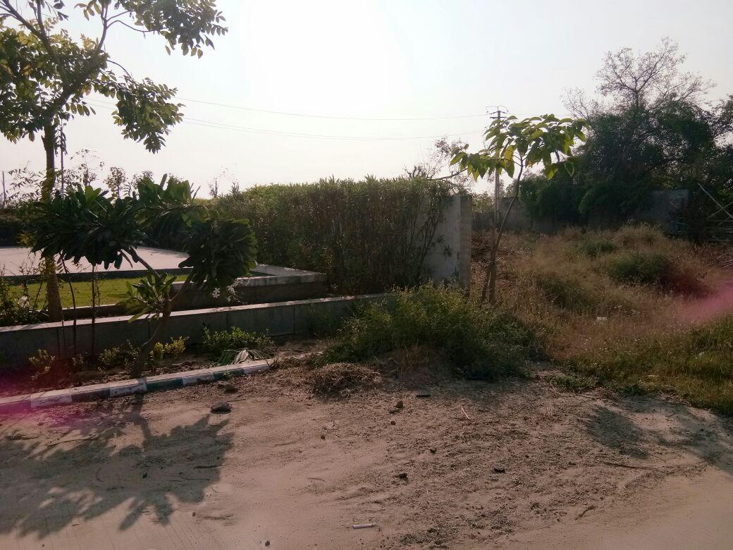 19901_const of real estate project Maruti Greenland located at Telav, Ahmedabad, Gujarat