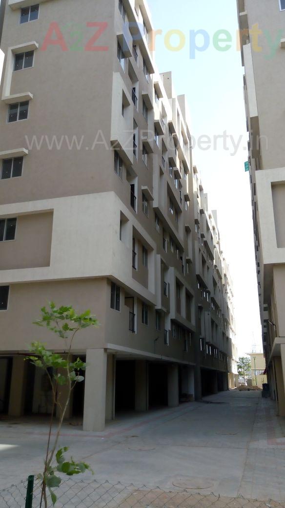 3D Elevation of real estate project Omshanti Gold Plus located at Vatva, Ahmedabad, Gujarat