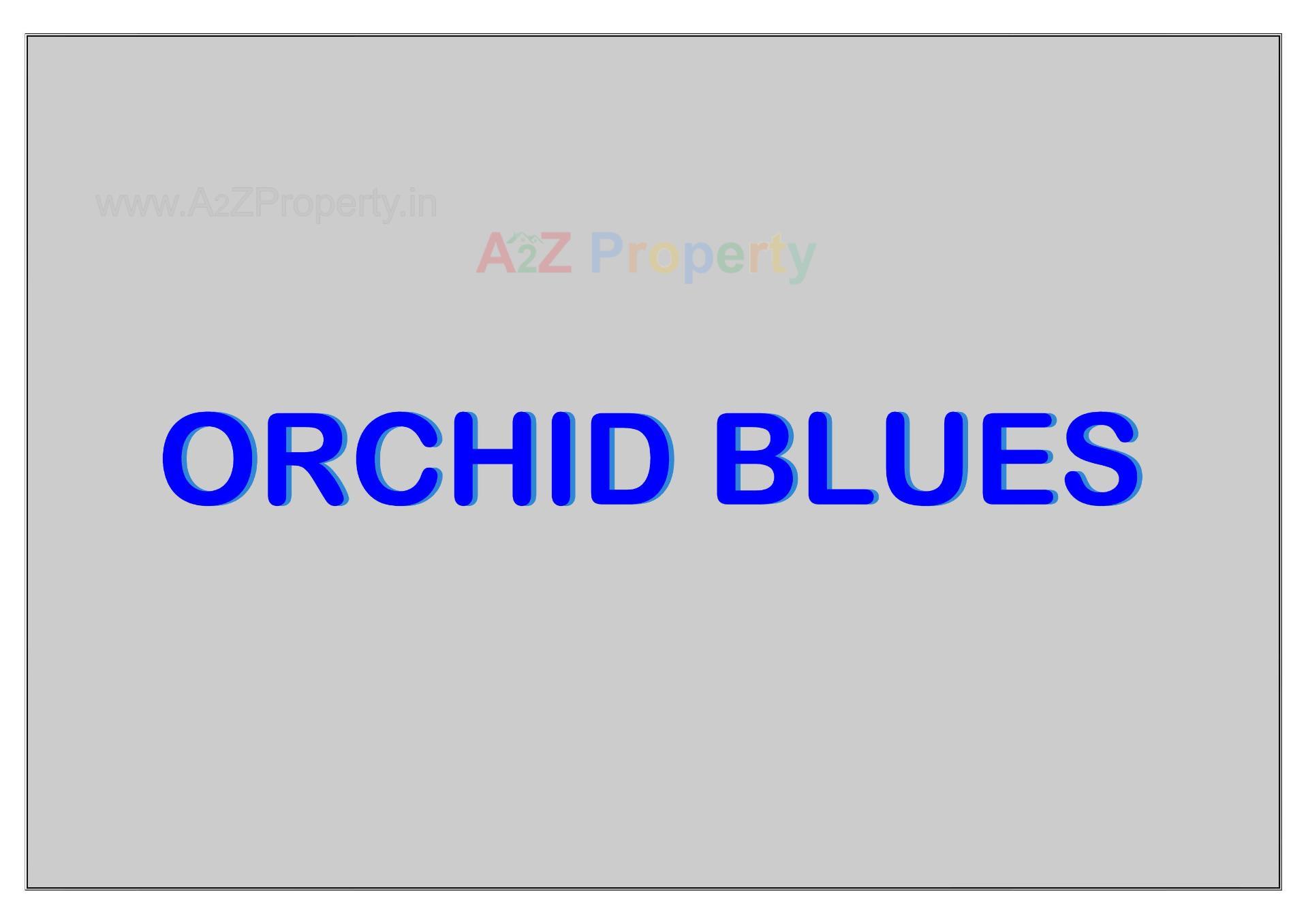 Orchid Blues