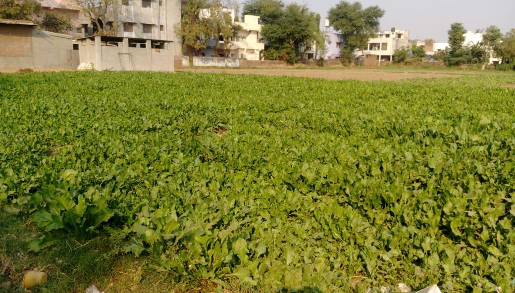 112802_const of real estate project Rajyash Rains located at Shahwadi, Ahmedabad, Gujarat