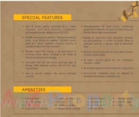 Project Specifications