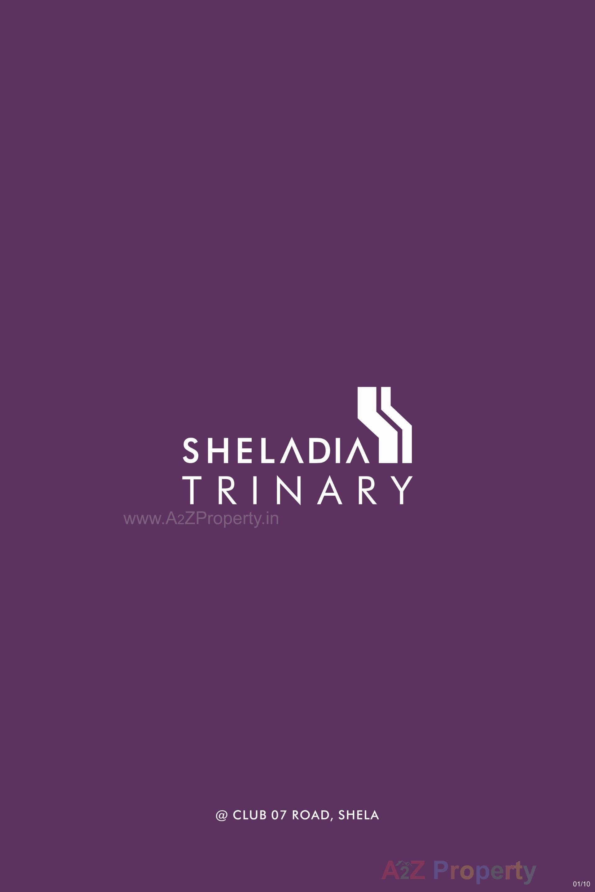  of real estate project Sheladia Trinary located at Shela, Ahmedabad, Gujarat