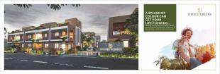 Elevation of real estate project Shreeji Greens located at Aslali, Ahmedabad, Gujarat