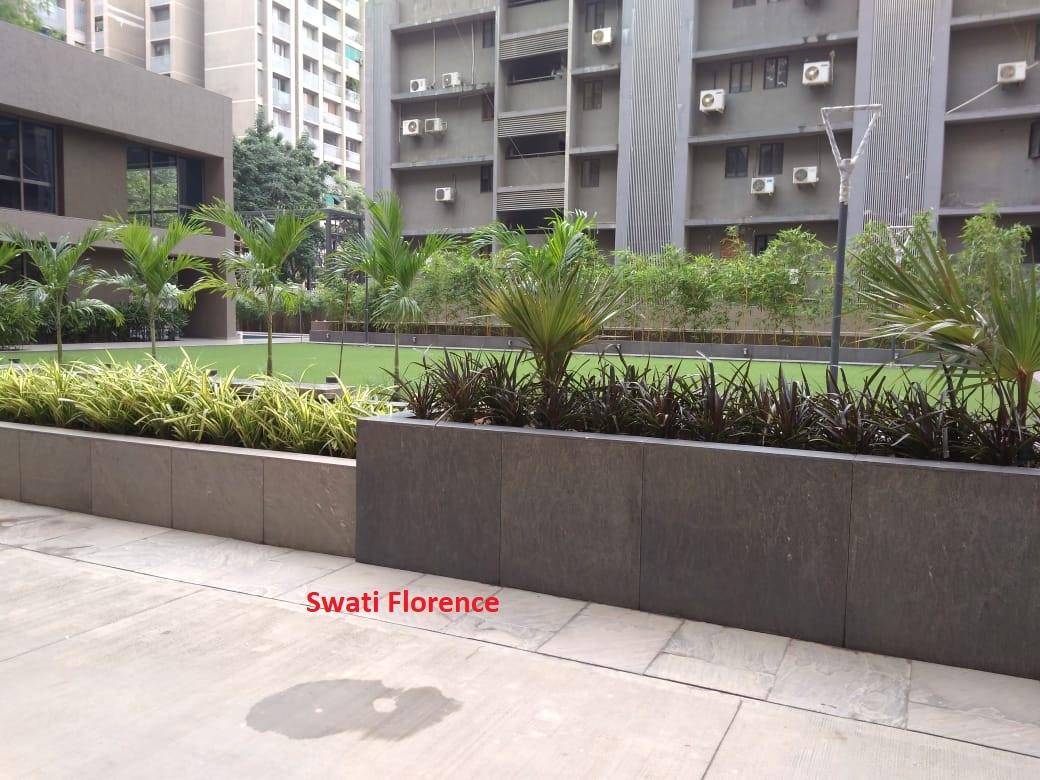 56924_const of real estate project Swati Florence located at Ahmedabad, Ahmedabad, Gujarat
