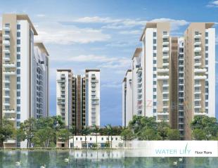 Elevation of real estate project Water Lily Ph (towers   C5,c6,c11,c12) located at Khodiyar, Ahmedabad, Gujarat
