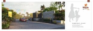 Elevation of real estate project Maple Villa located at Palanpur, Banaskantha, Gujarat