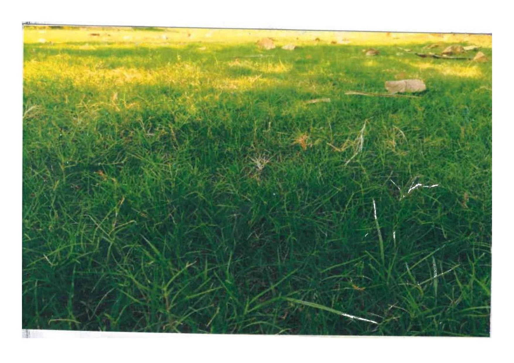 192850_const of real estate project Rameshbhai Vallabhbhai Savani located at Kosamdi, Bharuch, Gujarat