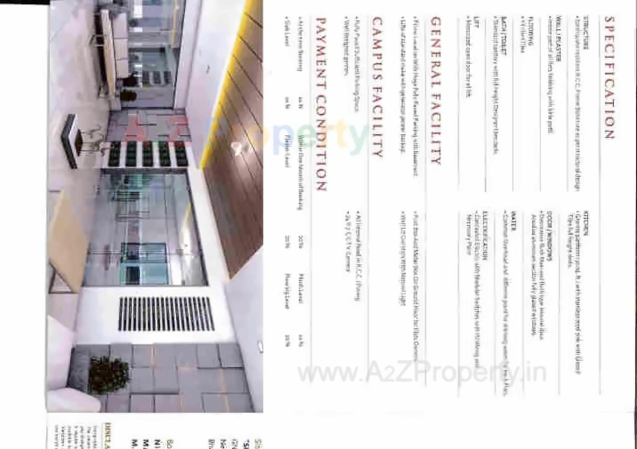 Project Specifications