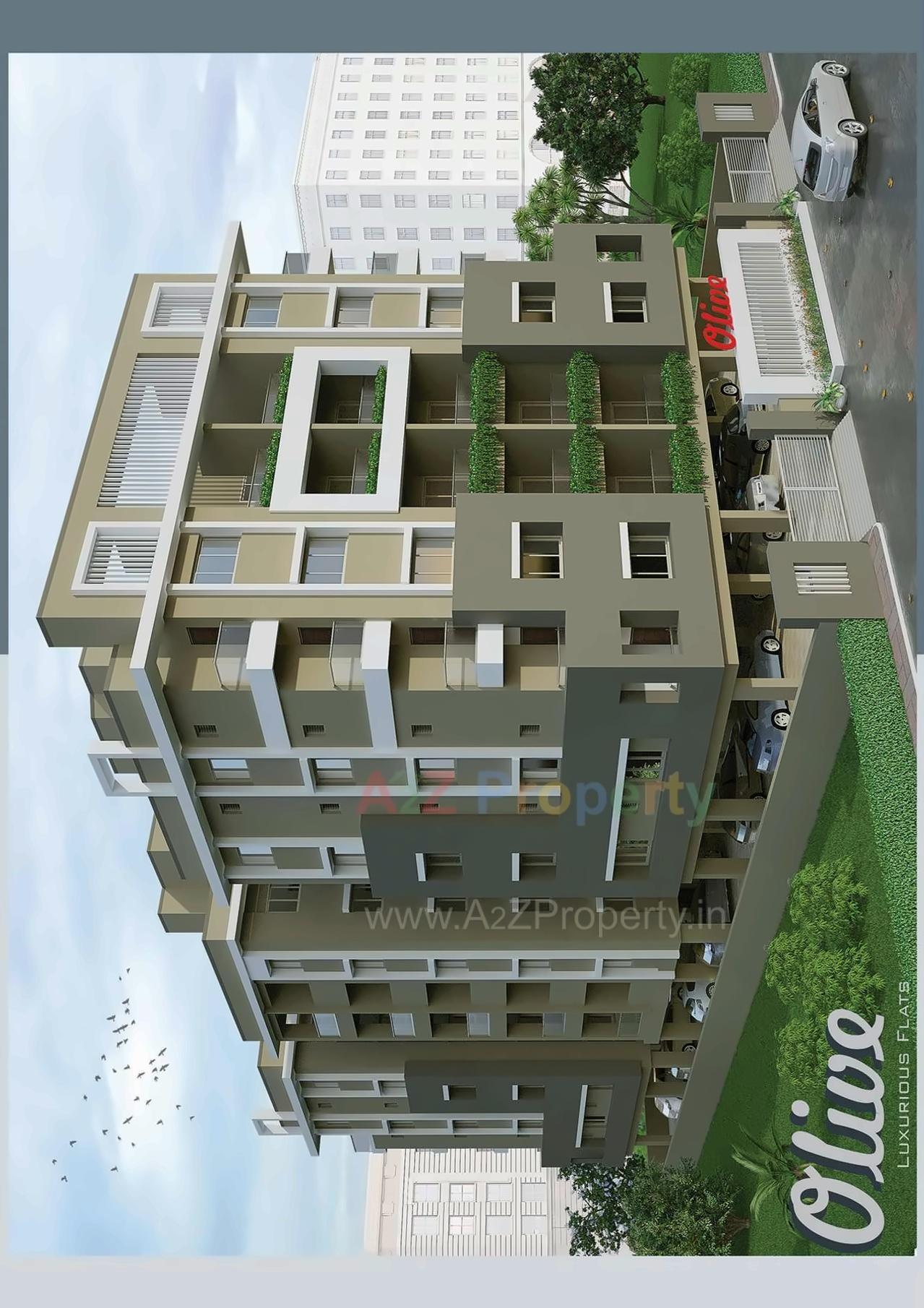 3D Elevation of real estate project Olive located at Bhavnagar, Bhavnagar, Gujarat