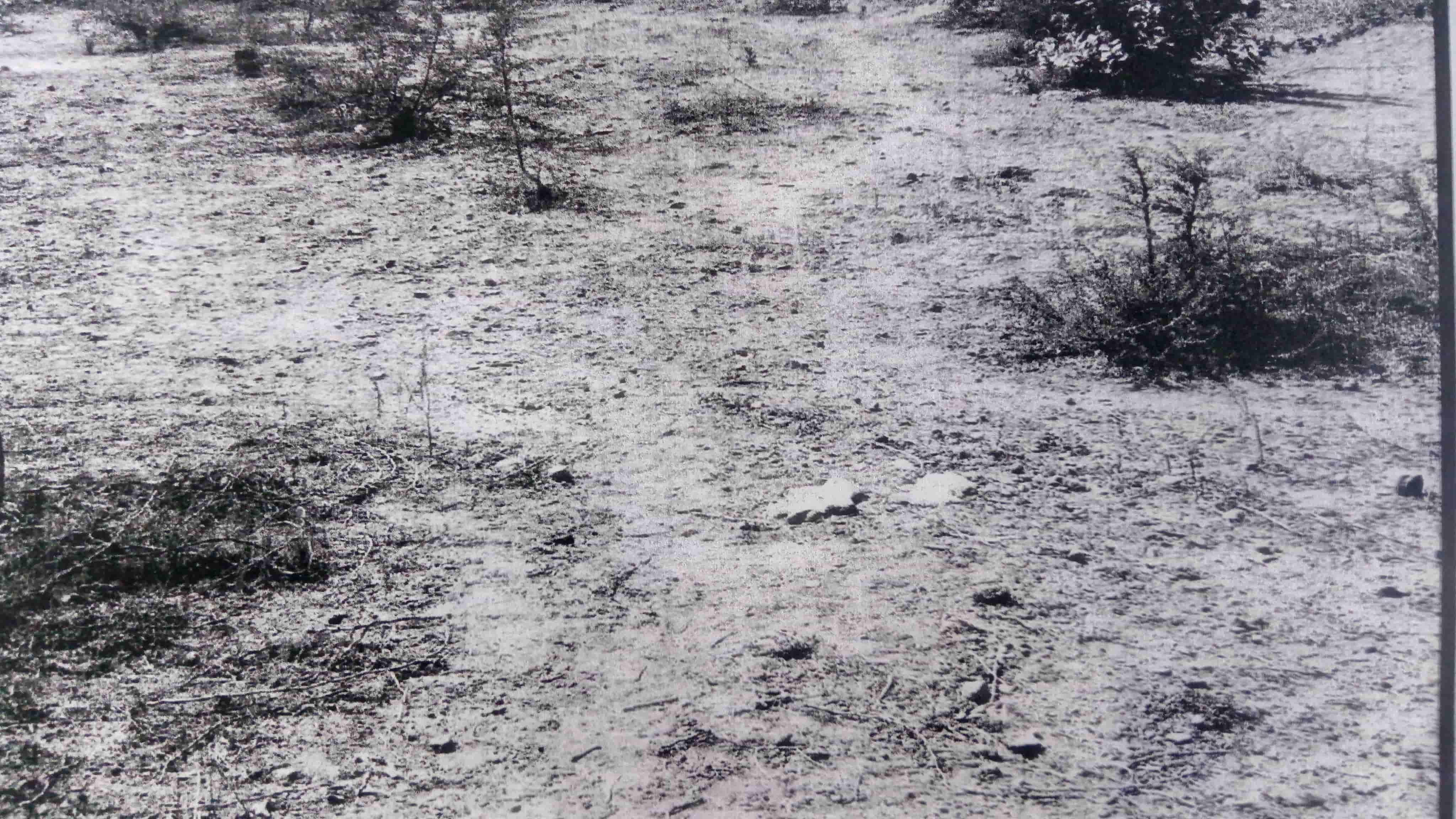 7859_const of real estate project Shiv Shakti Lucky Avenue located at Adhewada, Bhavnagar, Gujarat