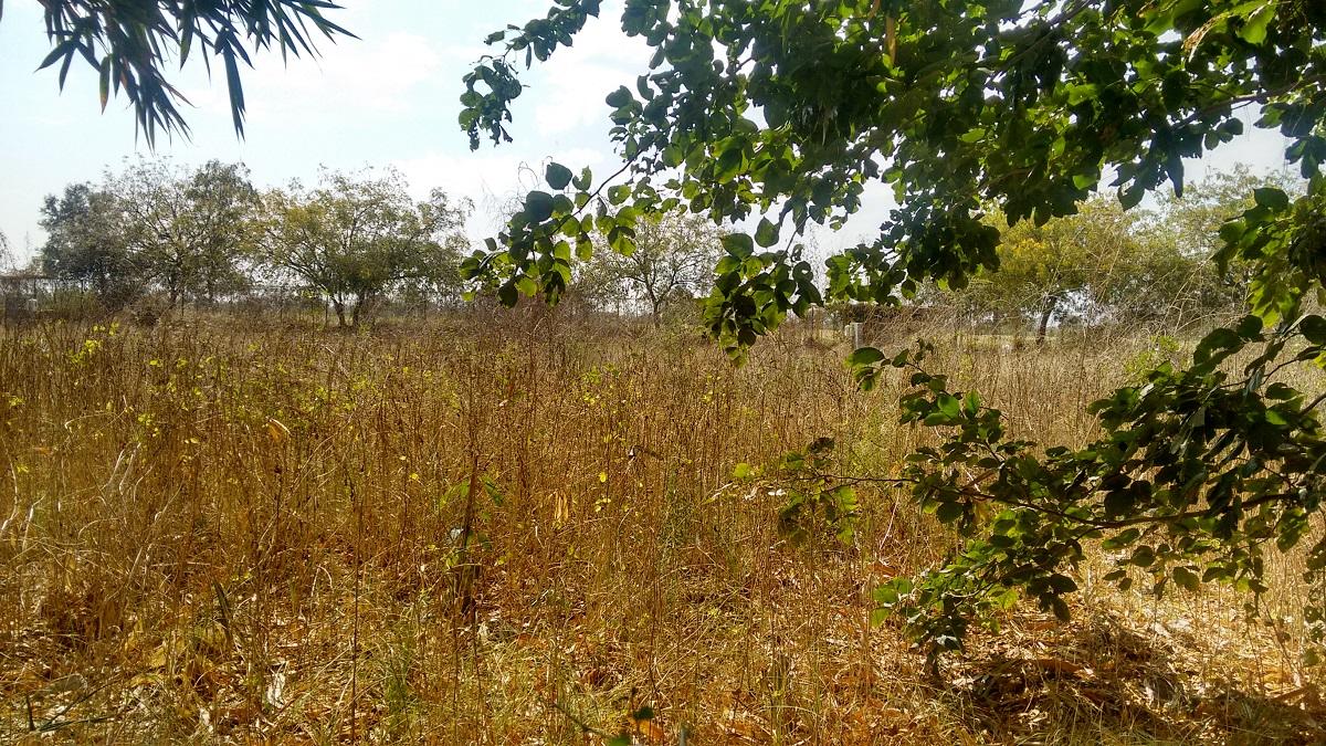 85733_const of real estate project 129 Weekend Villas located at Vasjda, Gandhinagar, Gujarat
