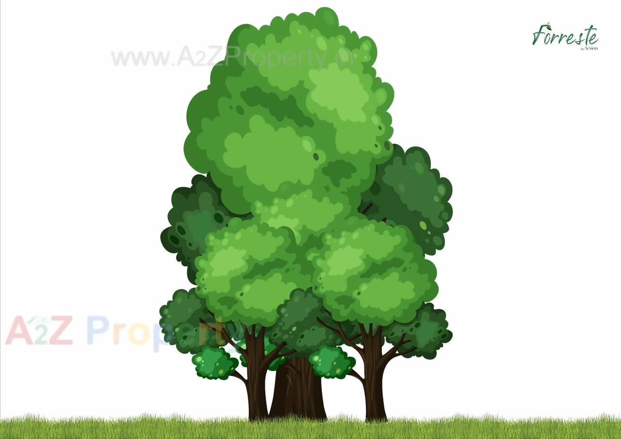  of real estate project Forreste located at Gandhinagar, Gandhinagar, Gujarat