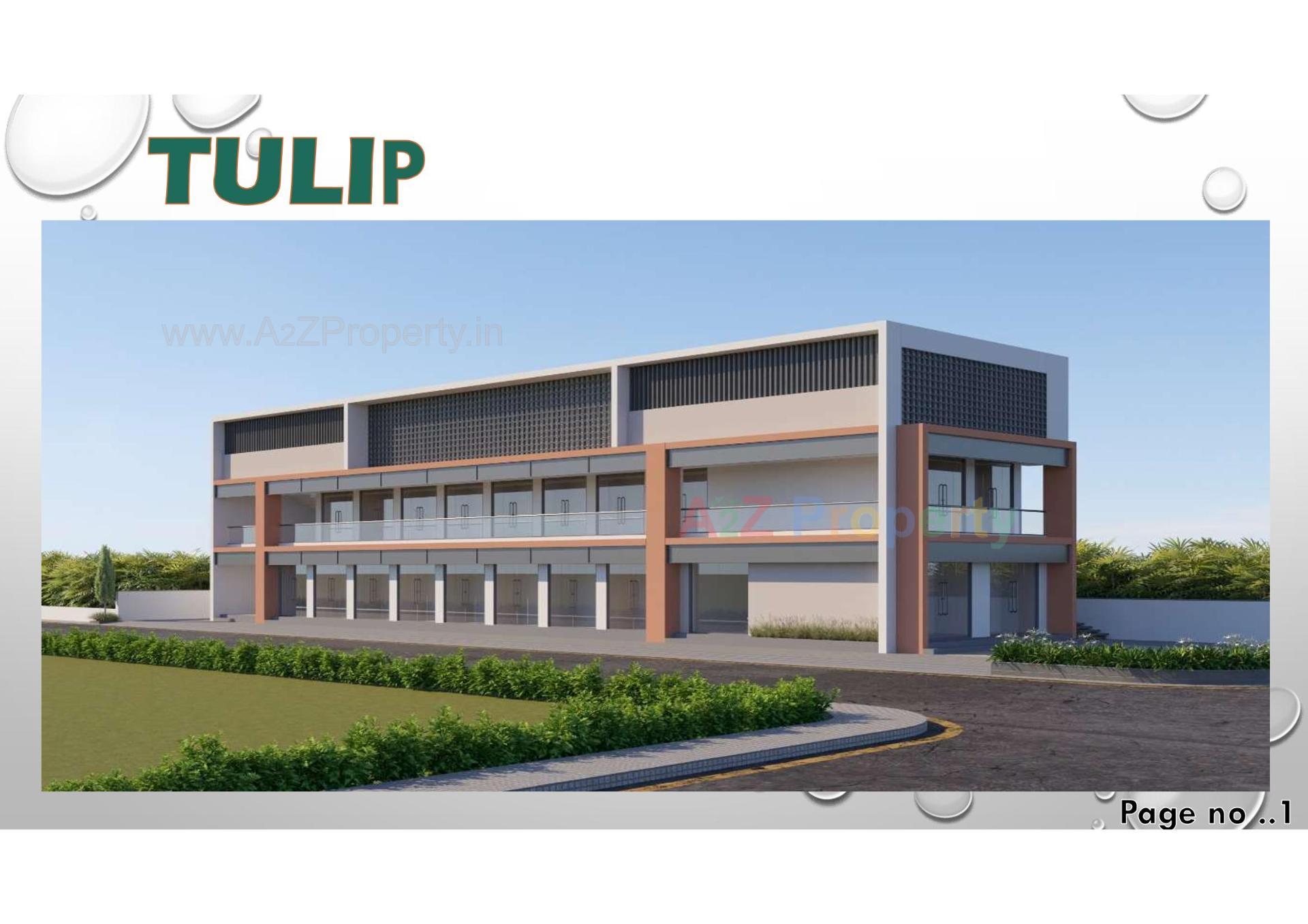 3D Elevation of real estate project Tulip located at Timbavadi, Junagadh, Gujarat