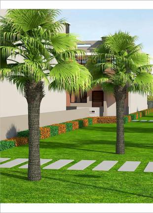 Elevation of real estate project Shiv Palace located at Kadi, Mehsana, Gujarat