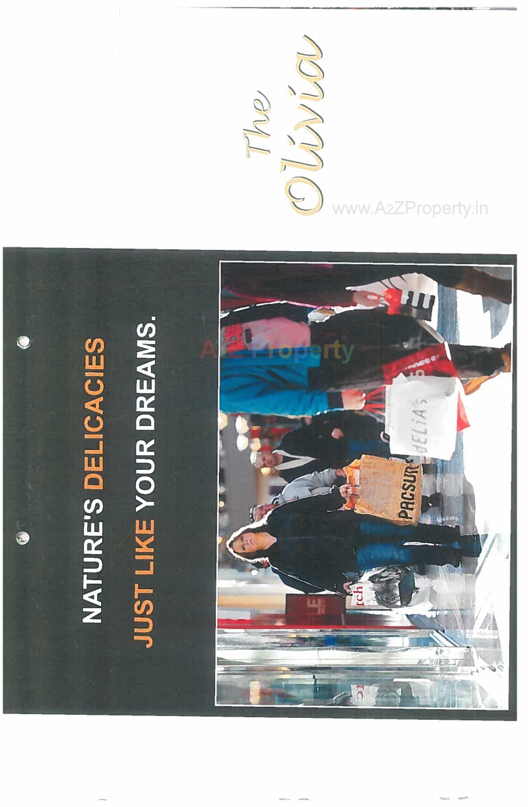  of real estate project The Olivia located at Jamalpore, Navsari, Gujarat