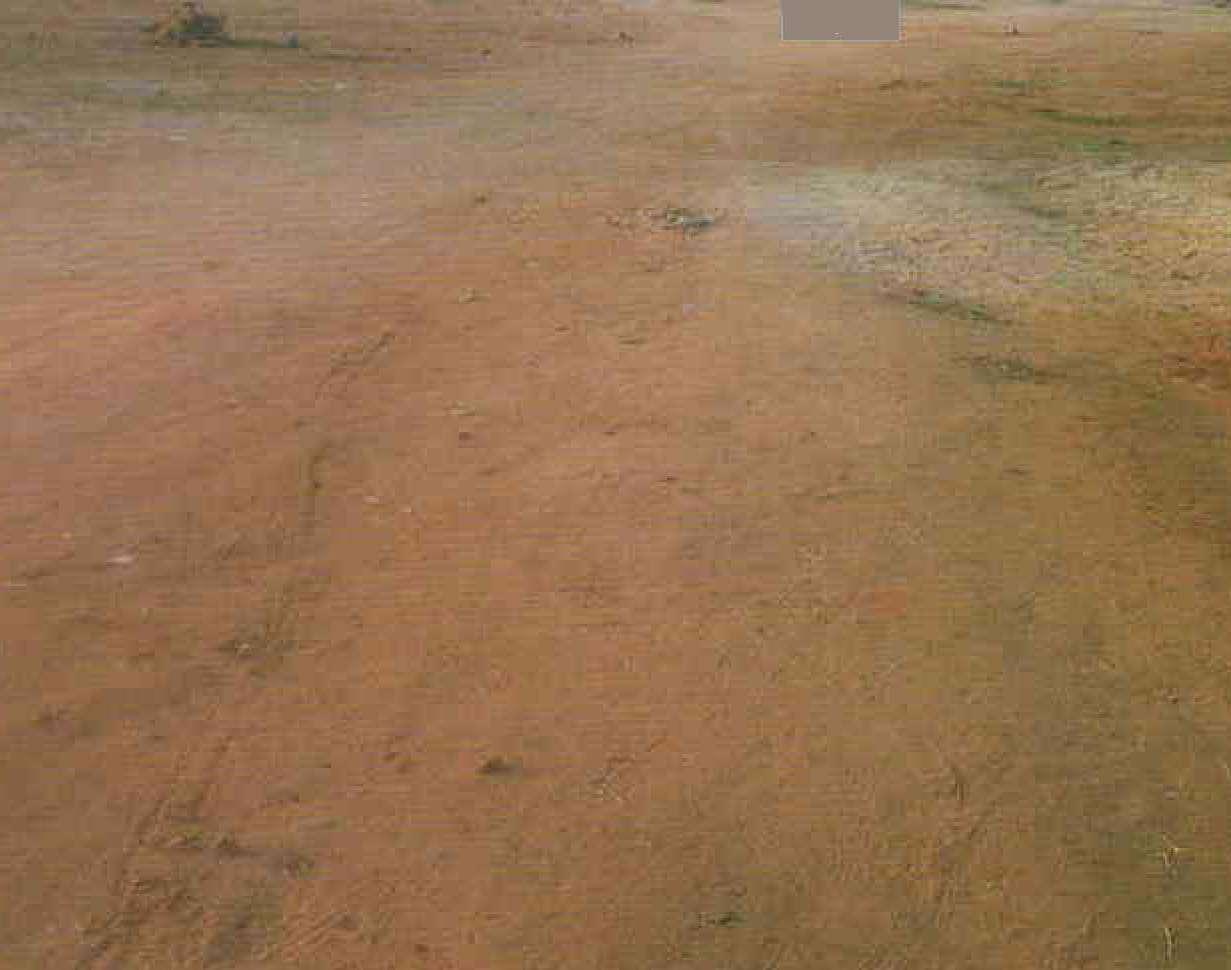 107215_const of real estate project Shreeji Residency located at Vitthalpura, Panchmahals, Gujarat