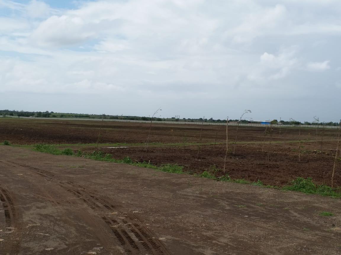 48579_const of real estate project Rajkot Industrial Park located at Dhamalpur, Rajkot, Gujarat