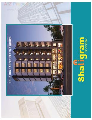 Elevation of real estate project Shaligram Avenue located at Mavdi, Rajkot, Gujarat