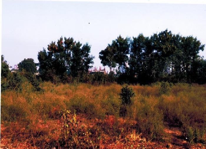 10321_const of real estate project Silver Avenue located at Mavdi, Rajkot, Gujarat