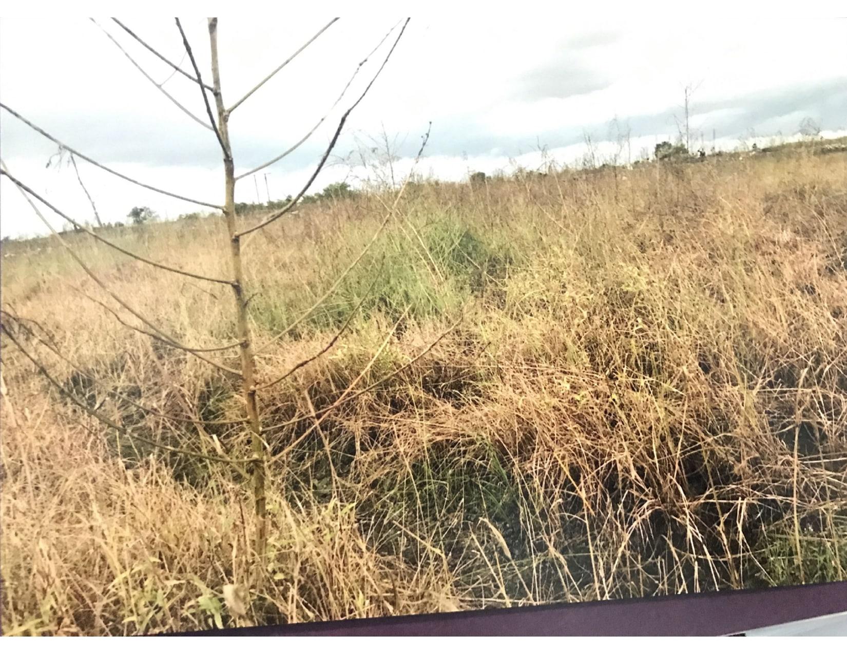 177011_const of real estate project Hari Darshan Row House located at Karmala, Surat, Gujarat