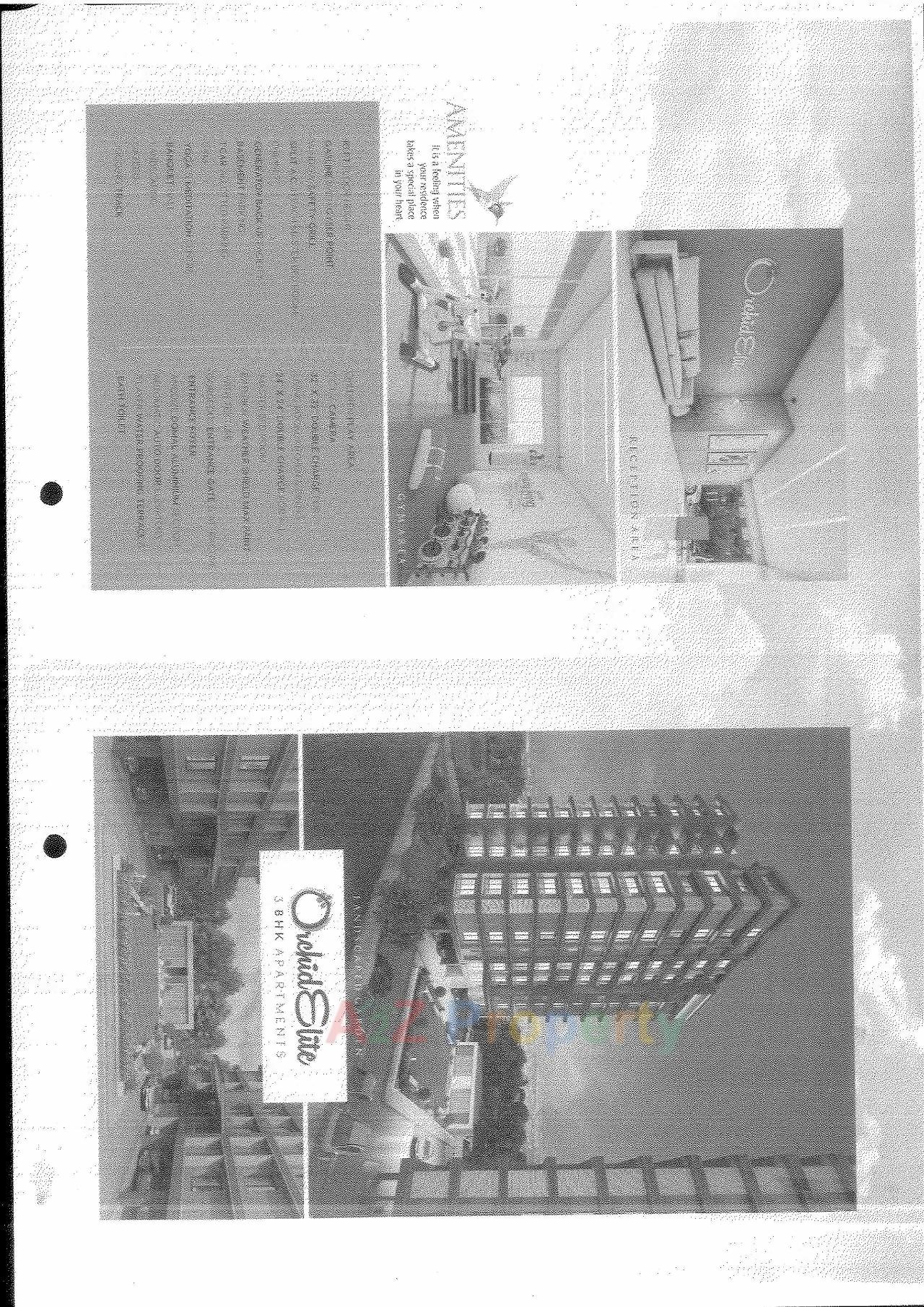  of real estate project Orchid Elite located at Palanpur, Surat, Gujarat