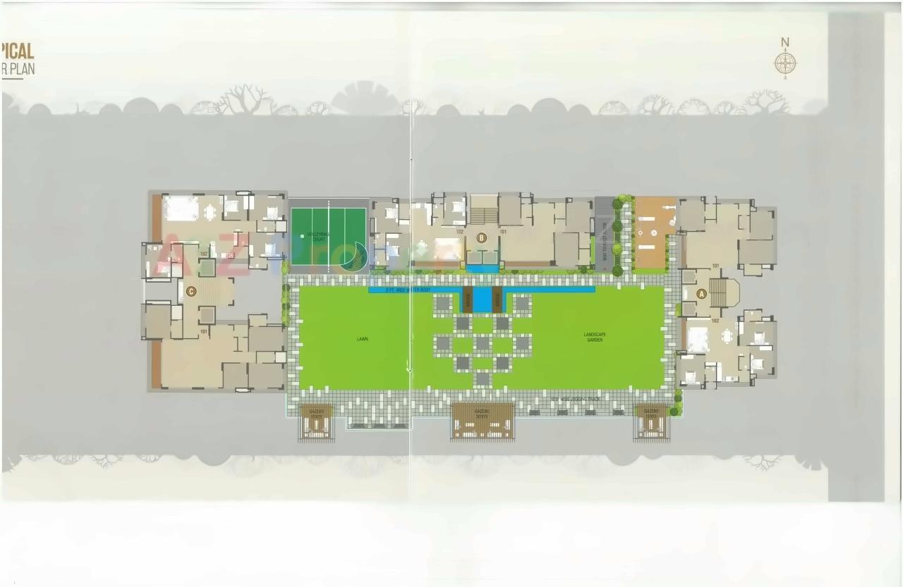 Project Layout