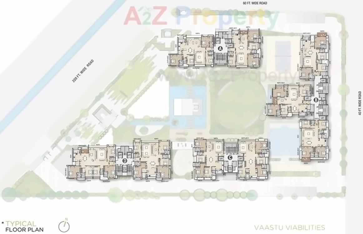 Project Layout