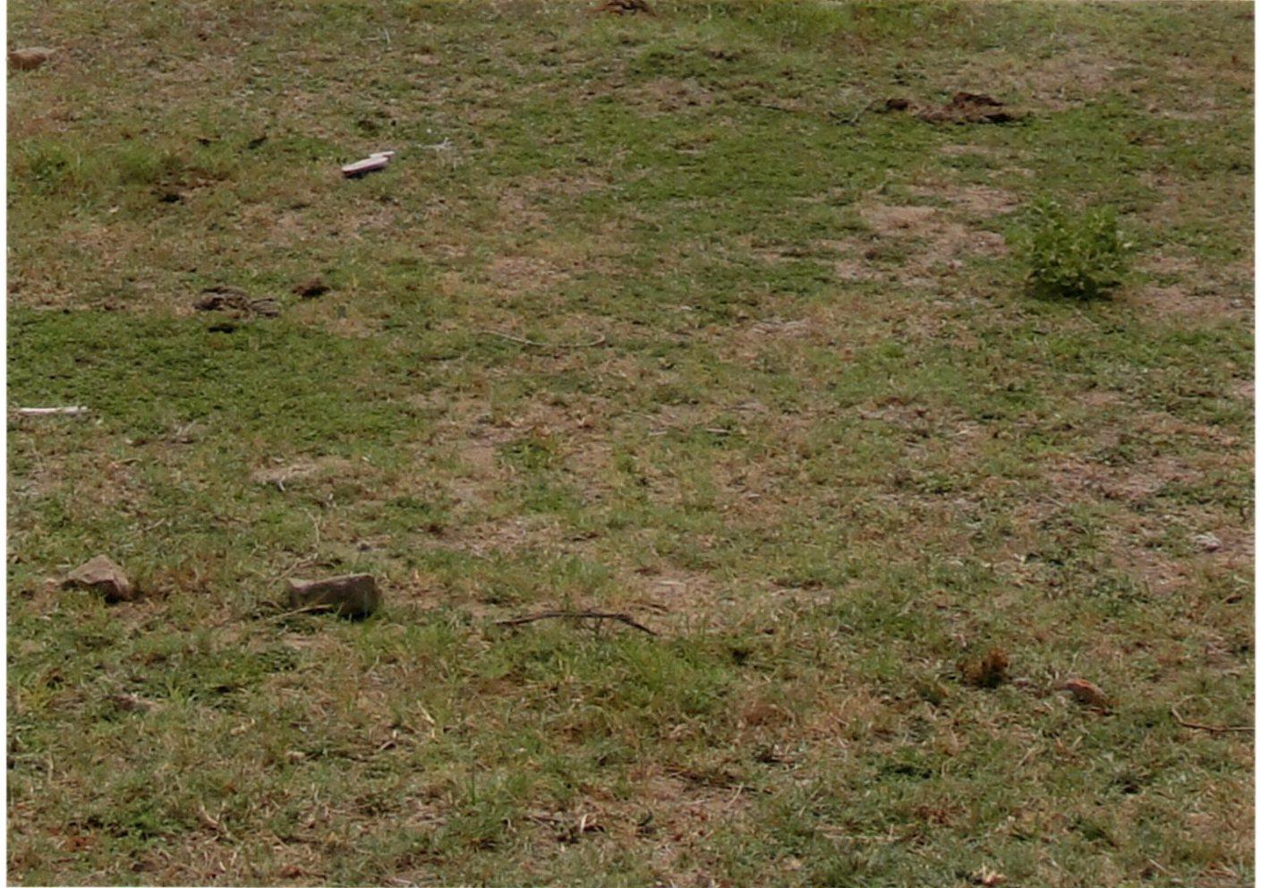 57774_const of real estate project Centrum located at Wadhwan, Surendranagar, Gujarat