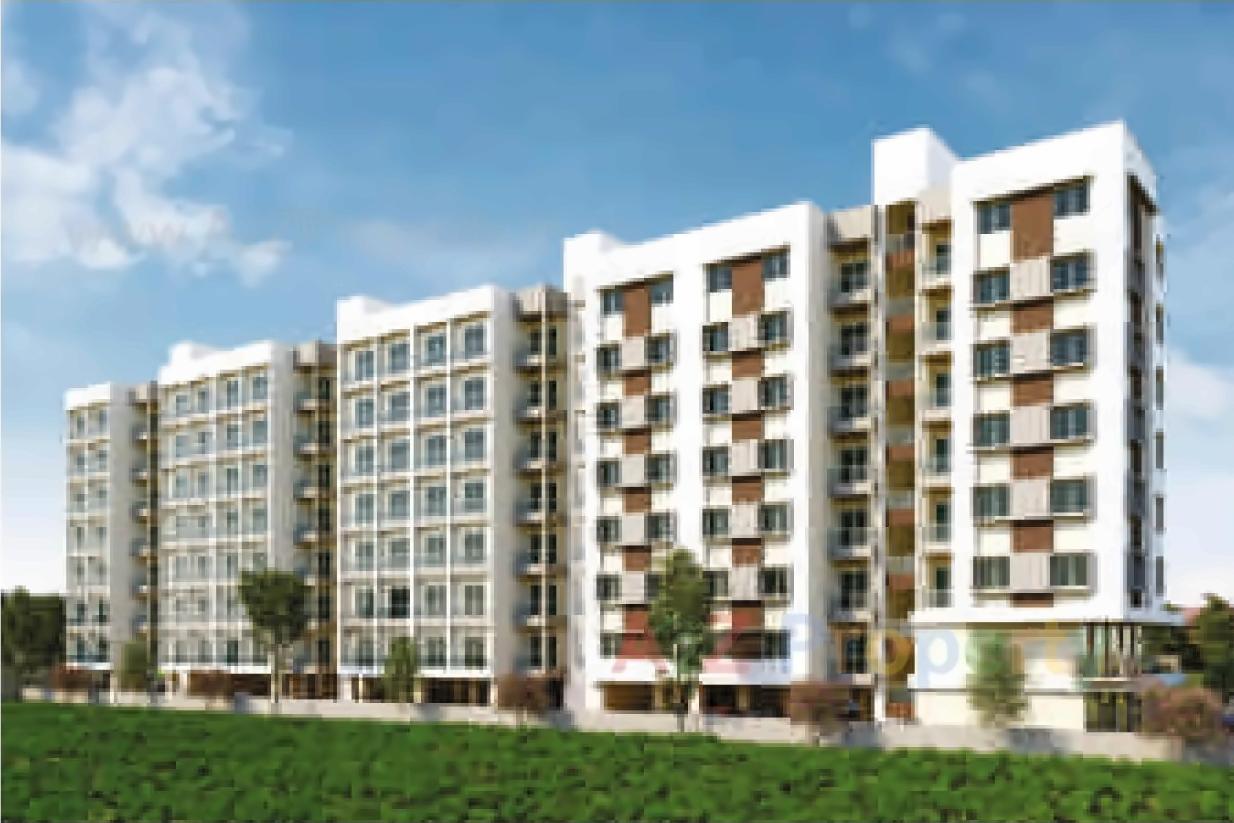 3D Elevation of real estate project As Safa Shops   Flats located at Tandalaja, Vadodara, Gujarat