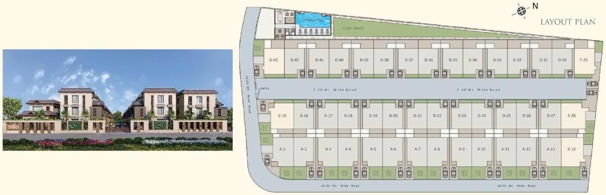 Project Layout