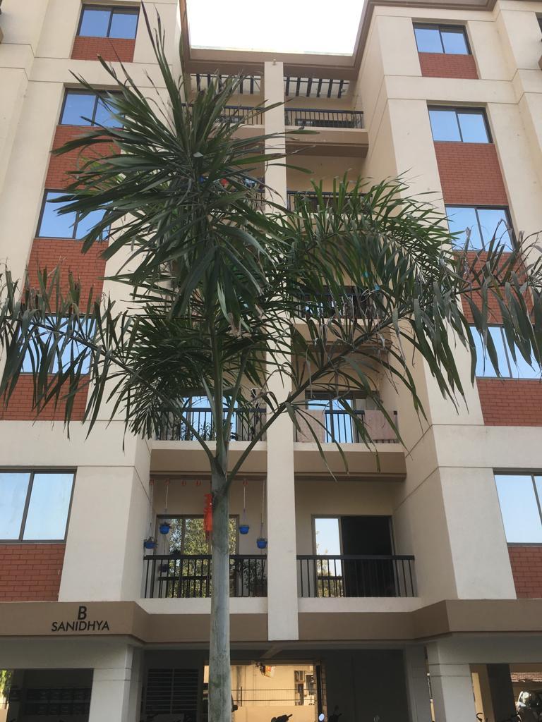 125965_const of real estate project Infinium located at Nizampura, Vadodara, Gujarat