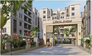 Elevation of real estate project Lilleria Avenue located at Sama, Vadodara, Gujarat
