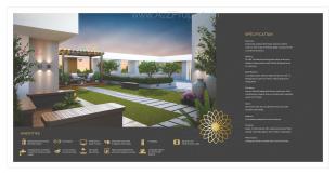 Elevation of real estate project Sharnam Arcade located at Nagar, Vadodara, Gujarat