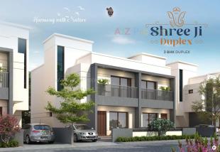 Elevation of real estate project Shreeji Duplex located at Karjan, Vadodara, Gujarat
