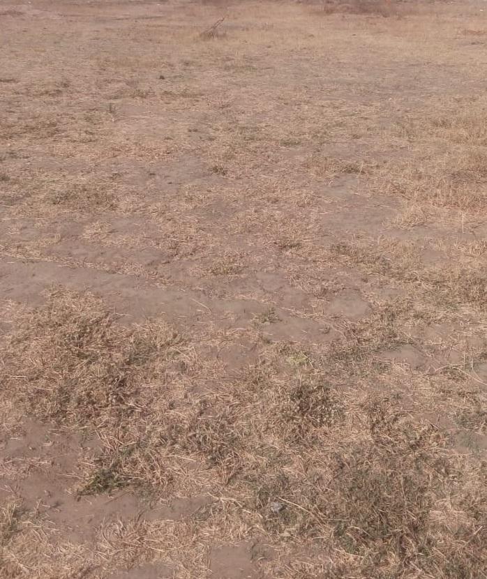 188074_const of real estate project Silver Sky located at Harni, Vadodara, Gujarat