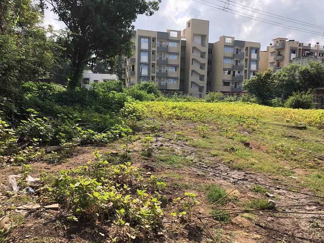 56554_const of real estate project Amrut Tara Residency located at Pardi, Valsad, Gujarat