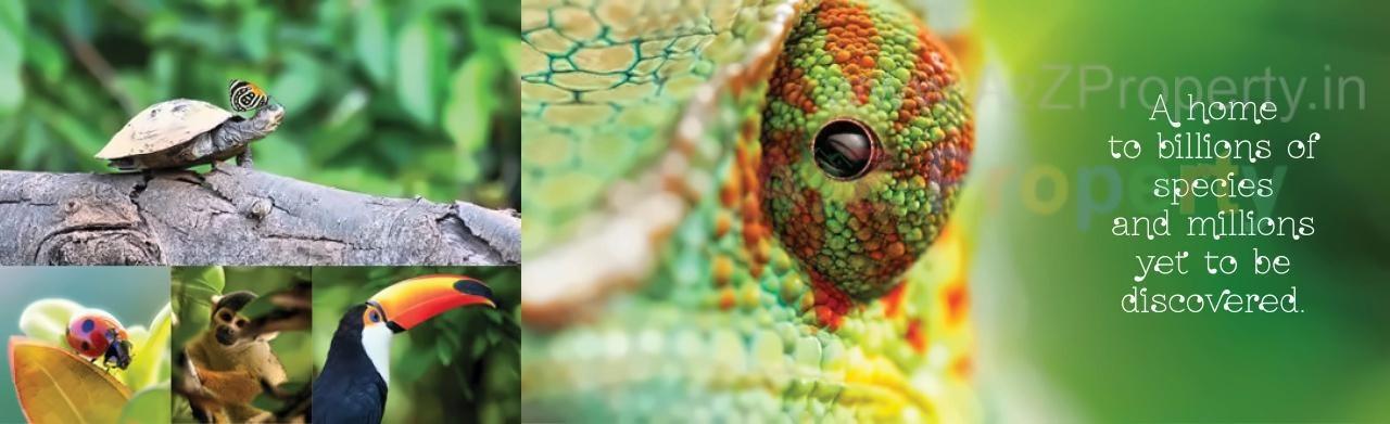  of real estate project Kanakia Rainforest located at Andheri, MumbaiSuburban, Maharashtra