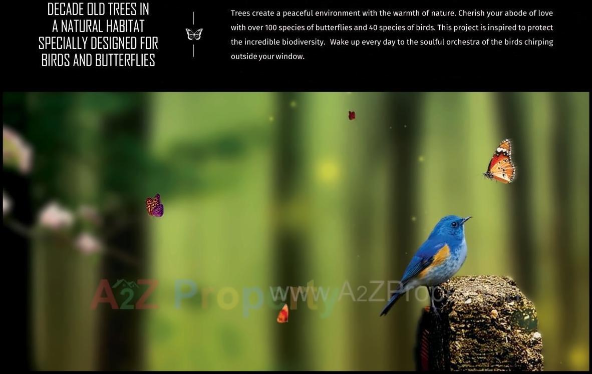  of real estate project Tridhaatu Aranya located at Kurla, MumbaiSuburban, Maharashtra