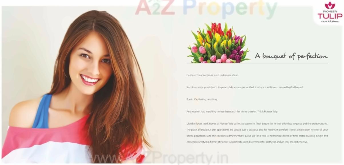  of real estate project Pioneer Tulip located at Nagpur-m-corp, Nagpur, Maharashtra