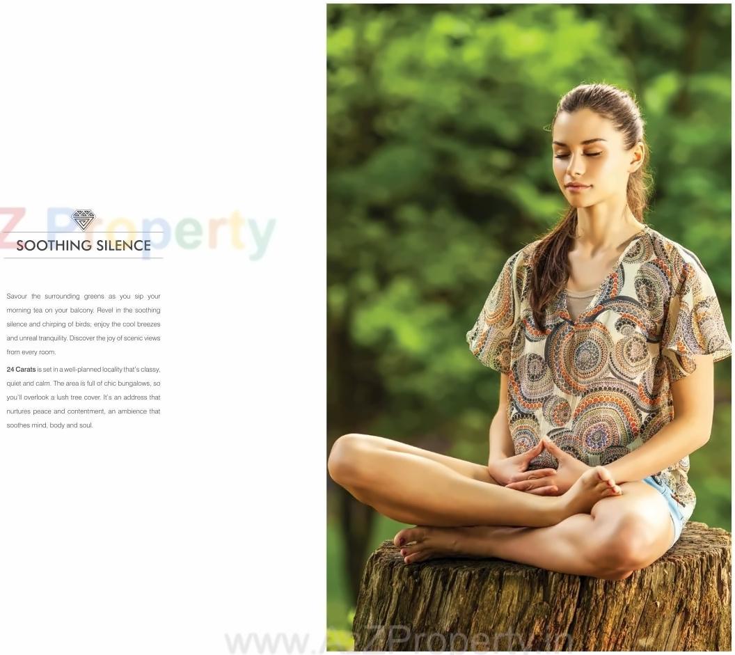  of real estate project 24 Carat located at Pimpri-chinchawad-m-corp, Pune, Maharashtra