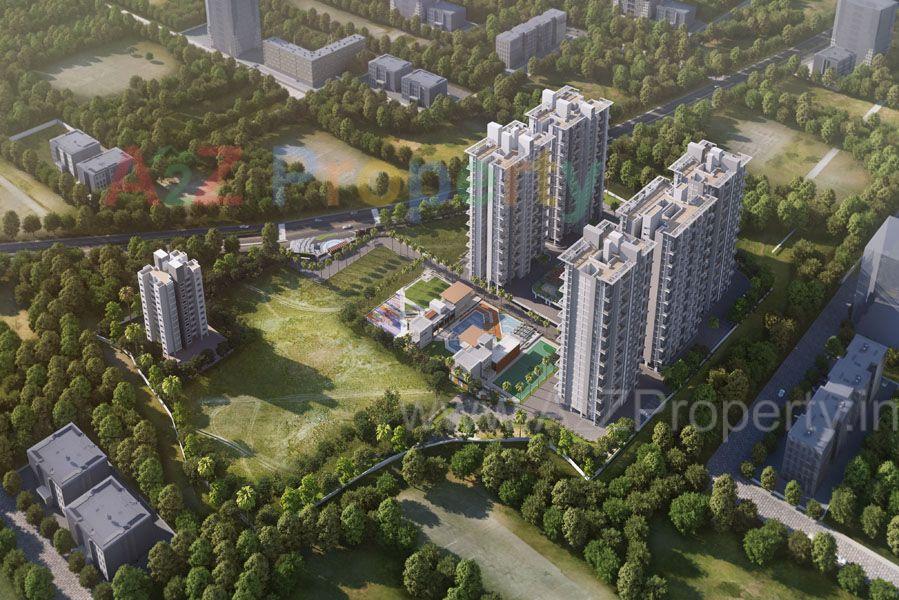 1954_7 Plumeria Drive_punawale_image_03 01 of real estate project 7 Plumeria Drive located at Punawale, Pune, Maharashtra