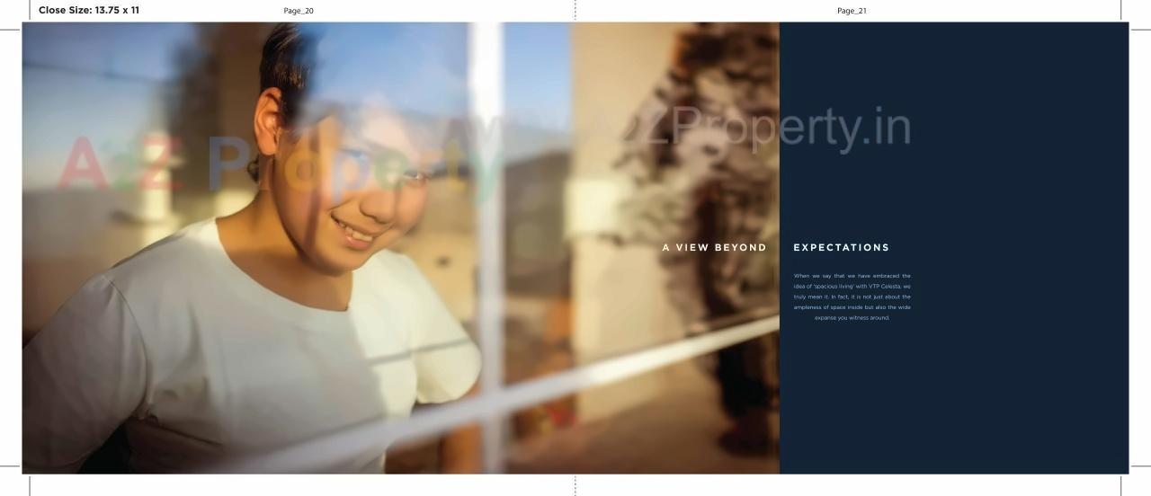  of real estate project Celesta located at Mohammadwadi, Pune, Maharashtra