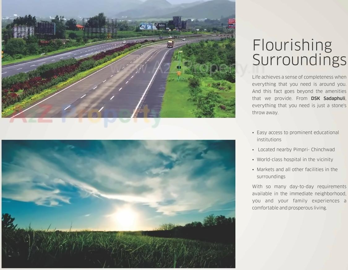 3D Elevation of real estate project Dsk Sadaphuli located at Varale, Pune, Maharashtra