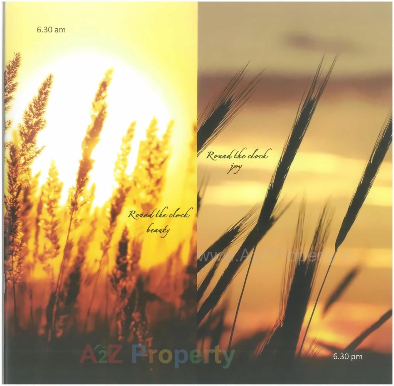 Image 14251 1 of real estate project Grande Ventila located at Wagholi, Pune, Maharashtra