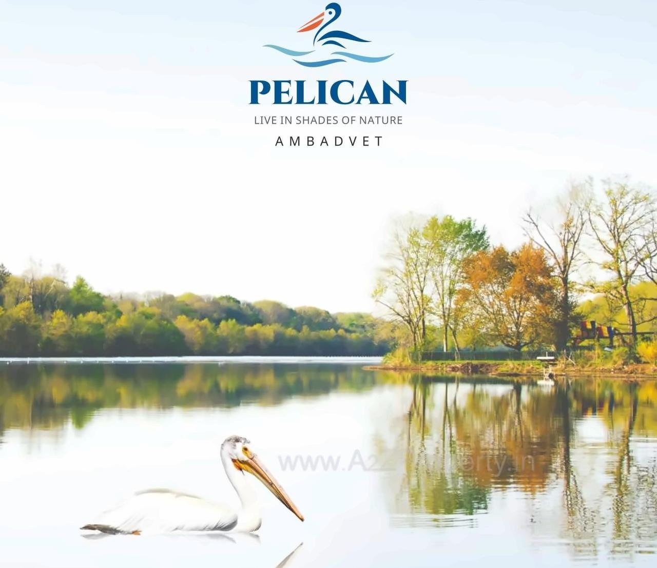  of real estate project Pelican located at Ambadvet, Pune, Maharashtra