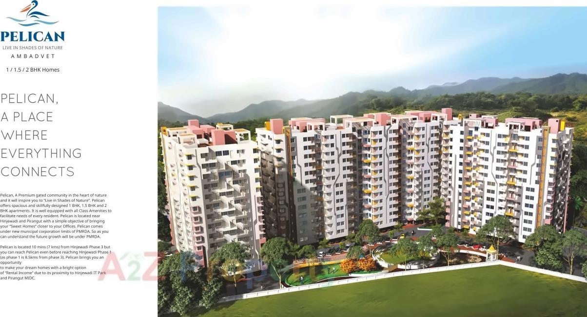 3D Elevation of real estate project Pelican located at Ambadvet, Pune, Maharashtra