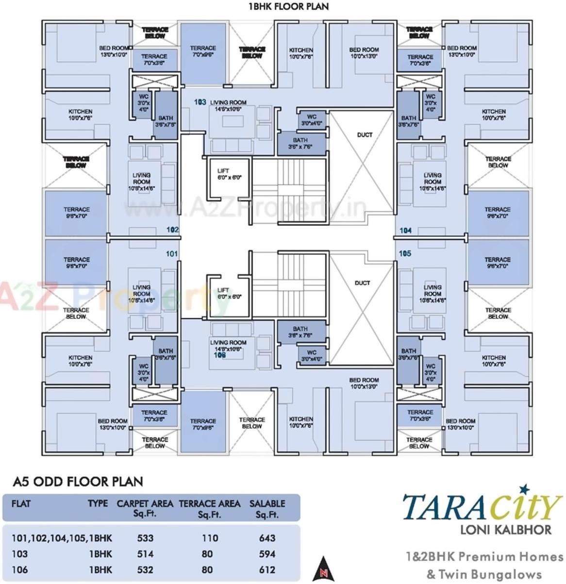 Layout of real estate project Tara City located at Lonikalbhor, Pune, Maharashtra